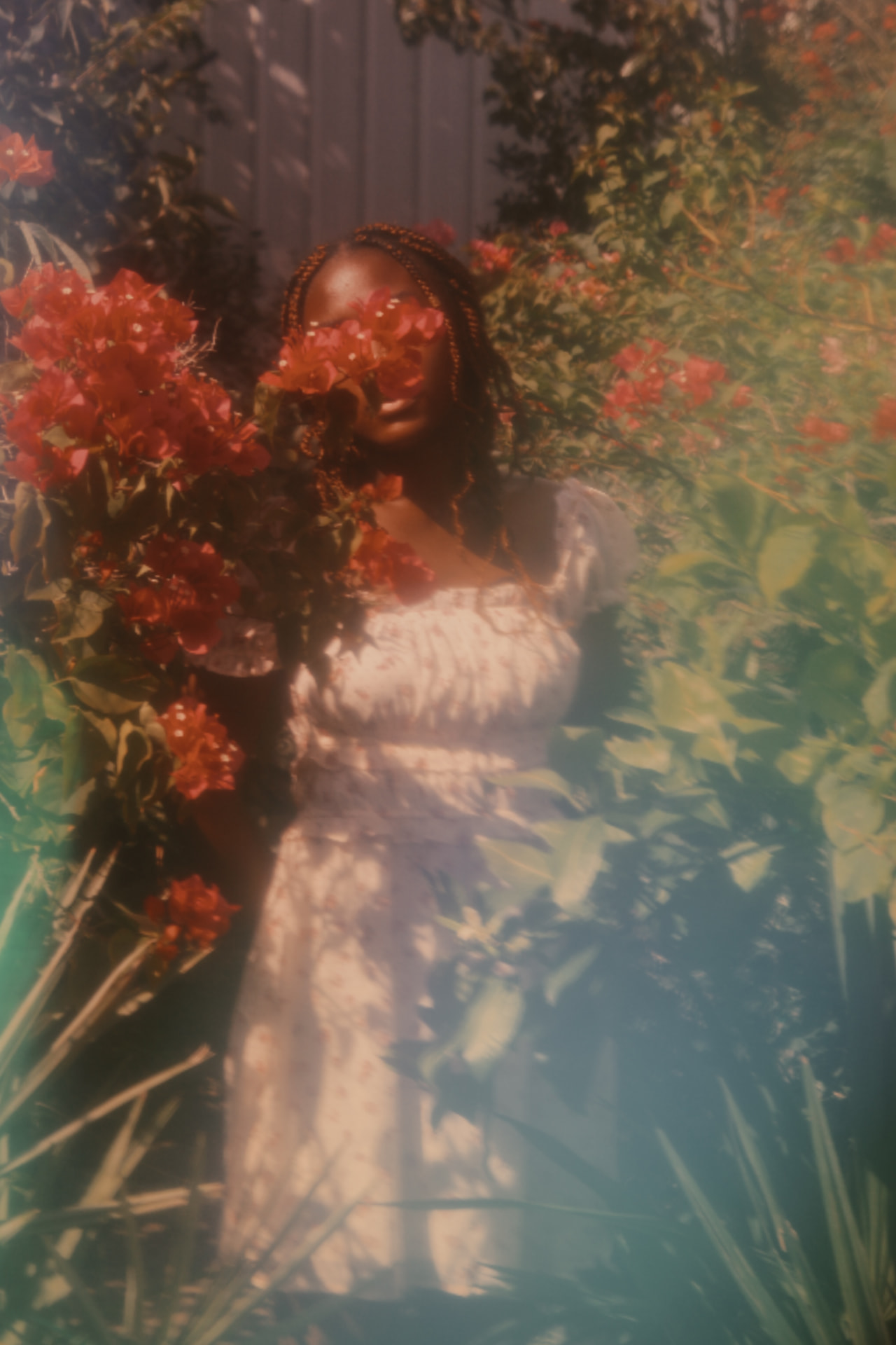 Dreamy close portrait of a woman smiling behind red bougainvillea in warm haze