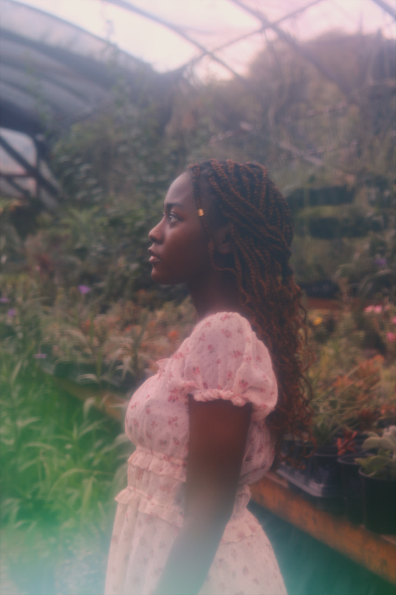 Profile portrait in a misty greenhouse among rows of plants