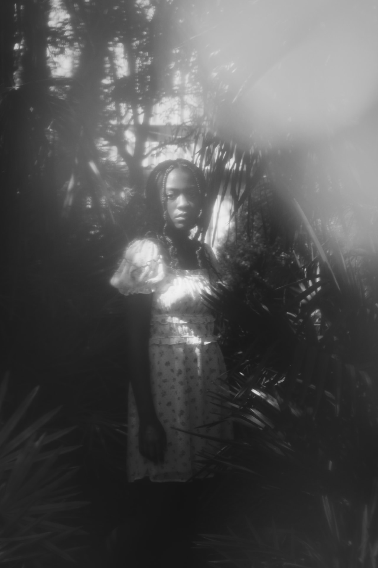 Black-and-white portrait of a woman in a floral dress standing in a misty palm grove