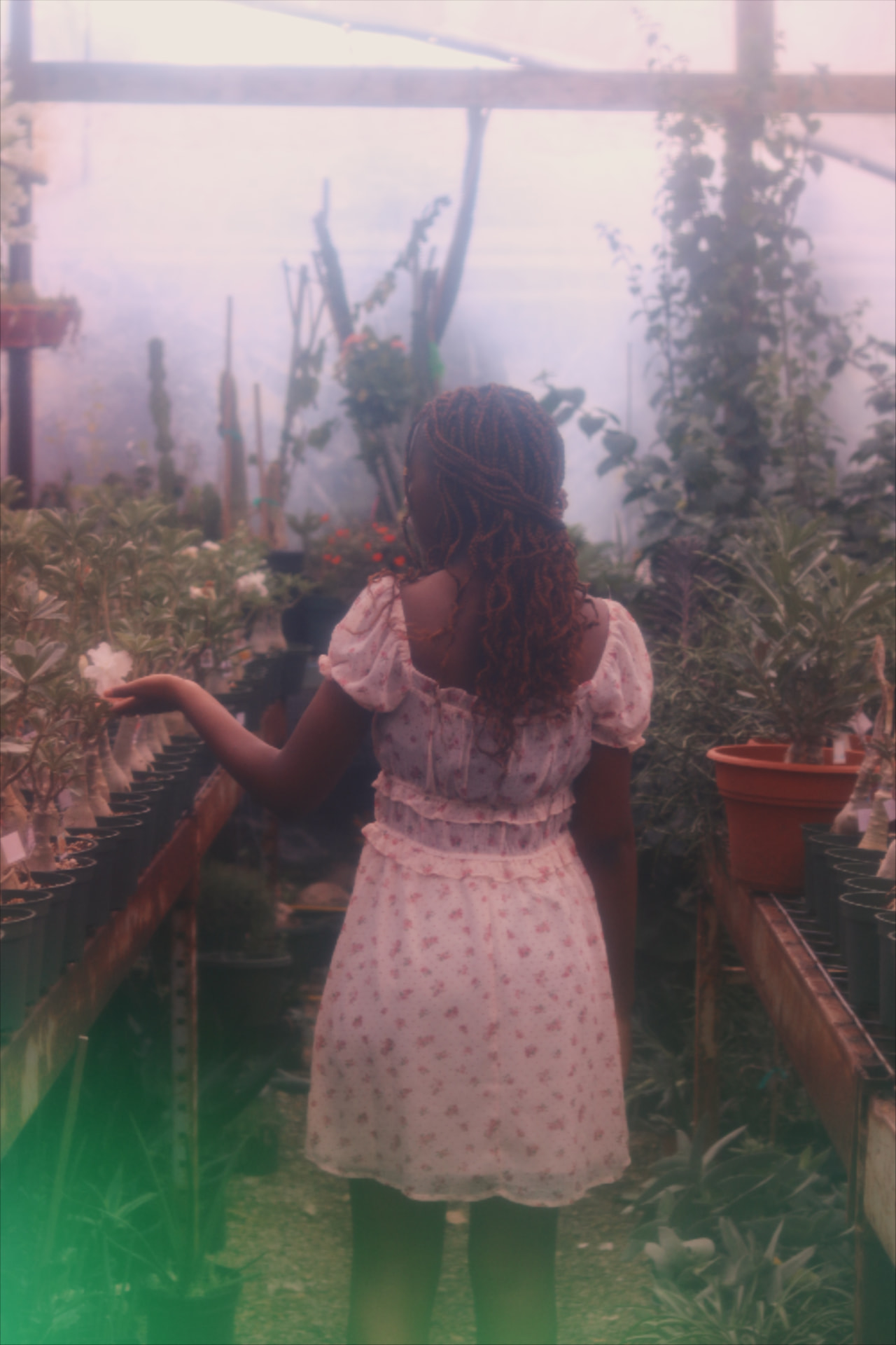 Woman in a floral dress walking through a misty greenhouse